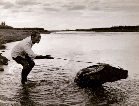 〈興旺臺灣影像八十載〉陳耿彬‧陳政雄父子攝影展